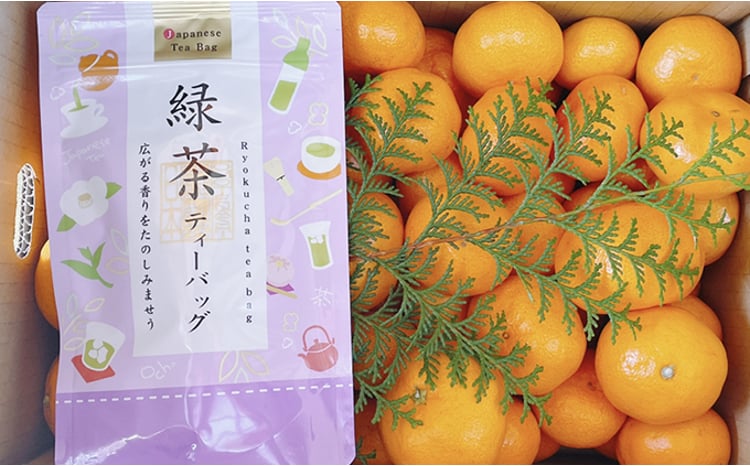 こたつみかん 静岡セット（お茶とワケありみかん約5kg）【配達不可地域