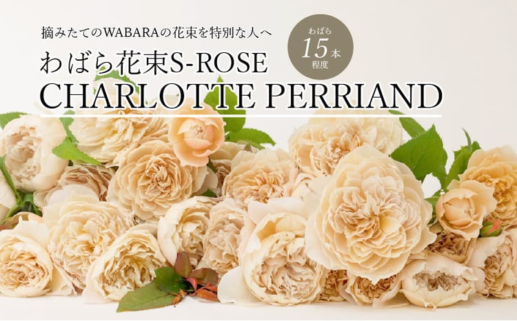 sd1_143c56fd4323c5537365eabb7c