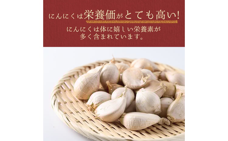 A69003 ＜先行予約受付中！2026年6月中旬以降準備が整い次第順次発送