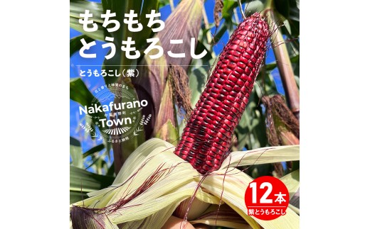 2026年発送】もちもちトウモロコシ紫 12本 中富良野産 - 北海道中