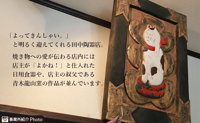 天目渚珈琲碗 青木龍山作 文化勲章受章 渚柄 限定品 田中陶器店 A250