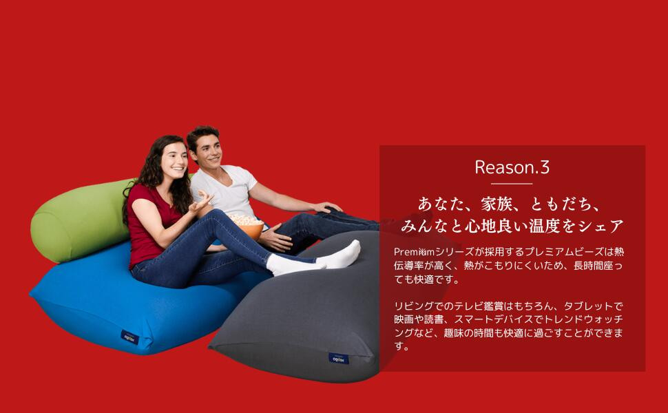Yogibo Max Rainbow Premium (ヨギボー マックス レインボー