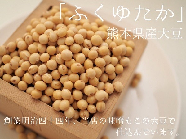 熊本県産大豆 フクユタカ 5kg | 豆 まめ 大豆 だいず 食品 ふくゆたか