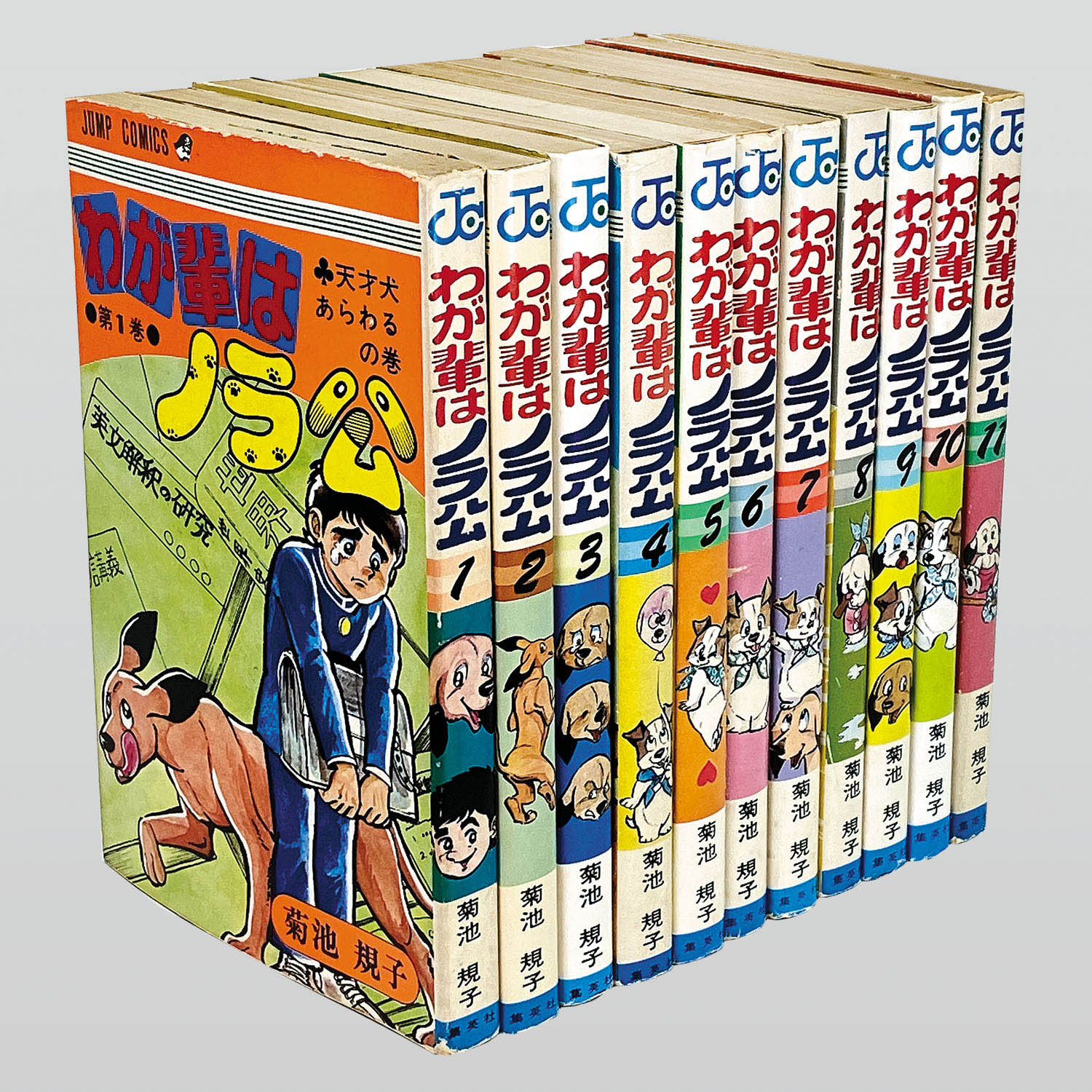 9817] ジャンプコミックス/菊池規子「わが輩はノラ公 全11巻初版セット」