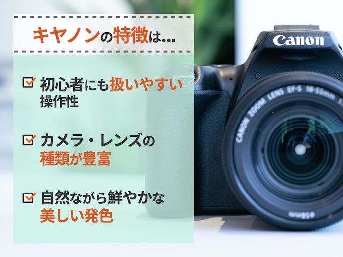 Canon（キヤノン）の一眼レフのおすすめ人気ランキング【2026年2月