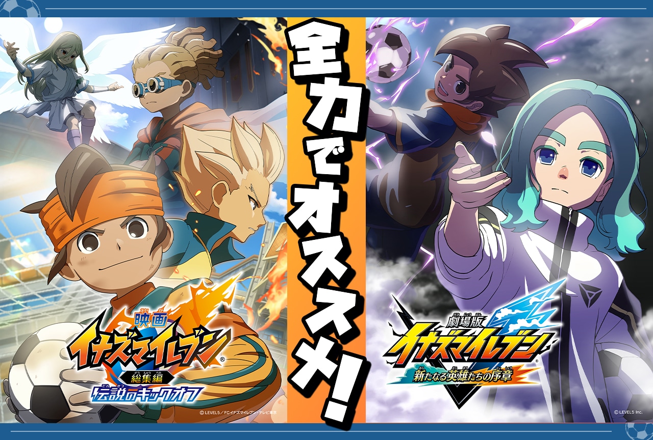 か*な様 イナズマイレブン パズル 箱 綱海 立向居 円堂 吹雪 鬼道 豪炎