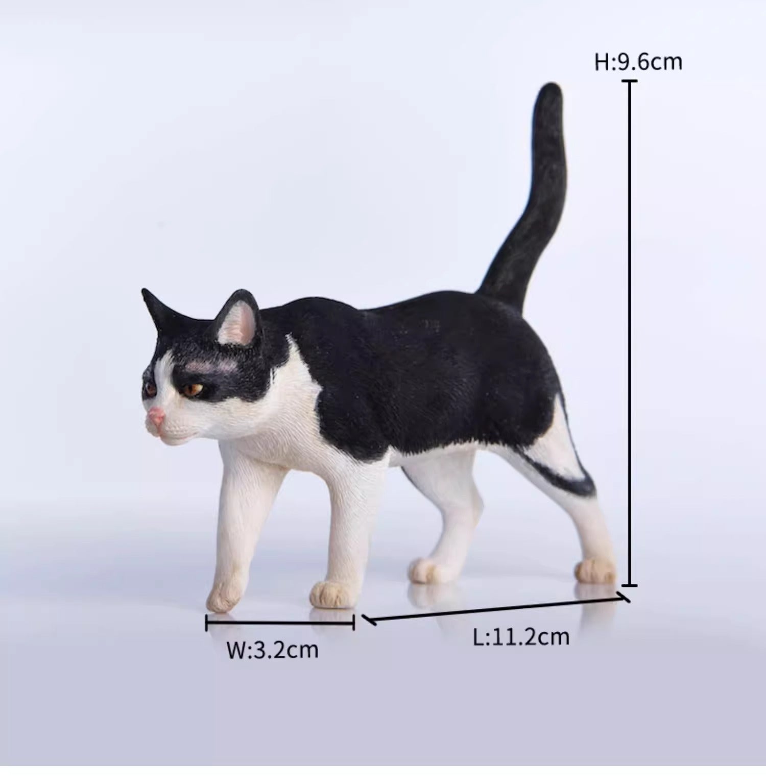 6.jpg?v=1736921314&width=1946