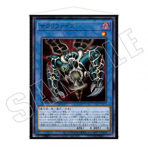 CARD ILLUSTRATION タペストリー（決闘者の王国編） | KAIBA