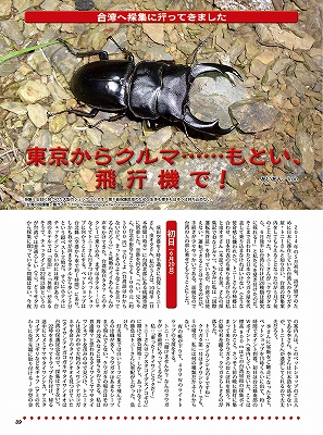ビークワ54号（BE・KUWA） 世界のコクワガタ大特集!!