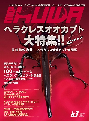 ビークワ63号（BE・KUWA） ヘラクレスオオカブト大特集!!