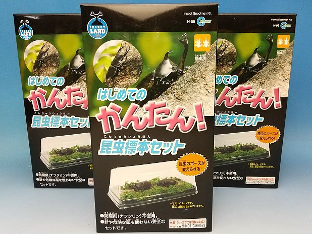 マルカンのはじめての かんたん昆虫標本セット販売-夏休みの自由研究に最適