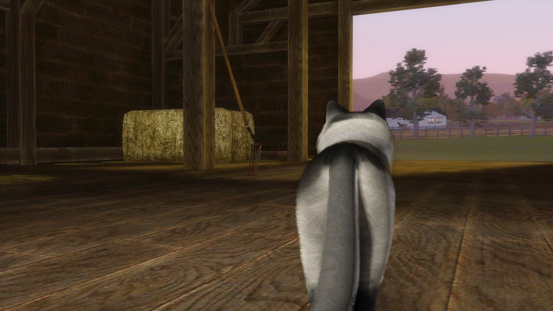 ペット(猫の種類): The Sims 3(ザ・シムズ3) 拡張・追加パック