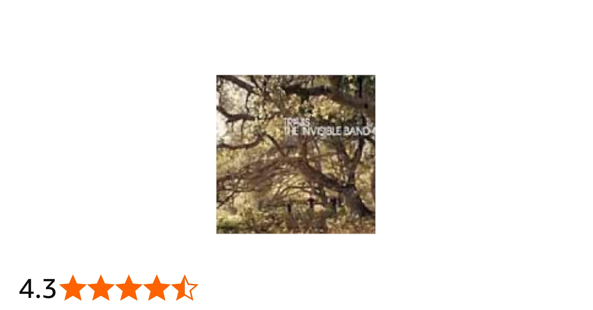 Amazon.co.jp: インヴィジブル・バンド: ミュージック