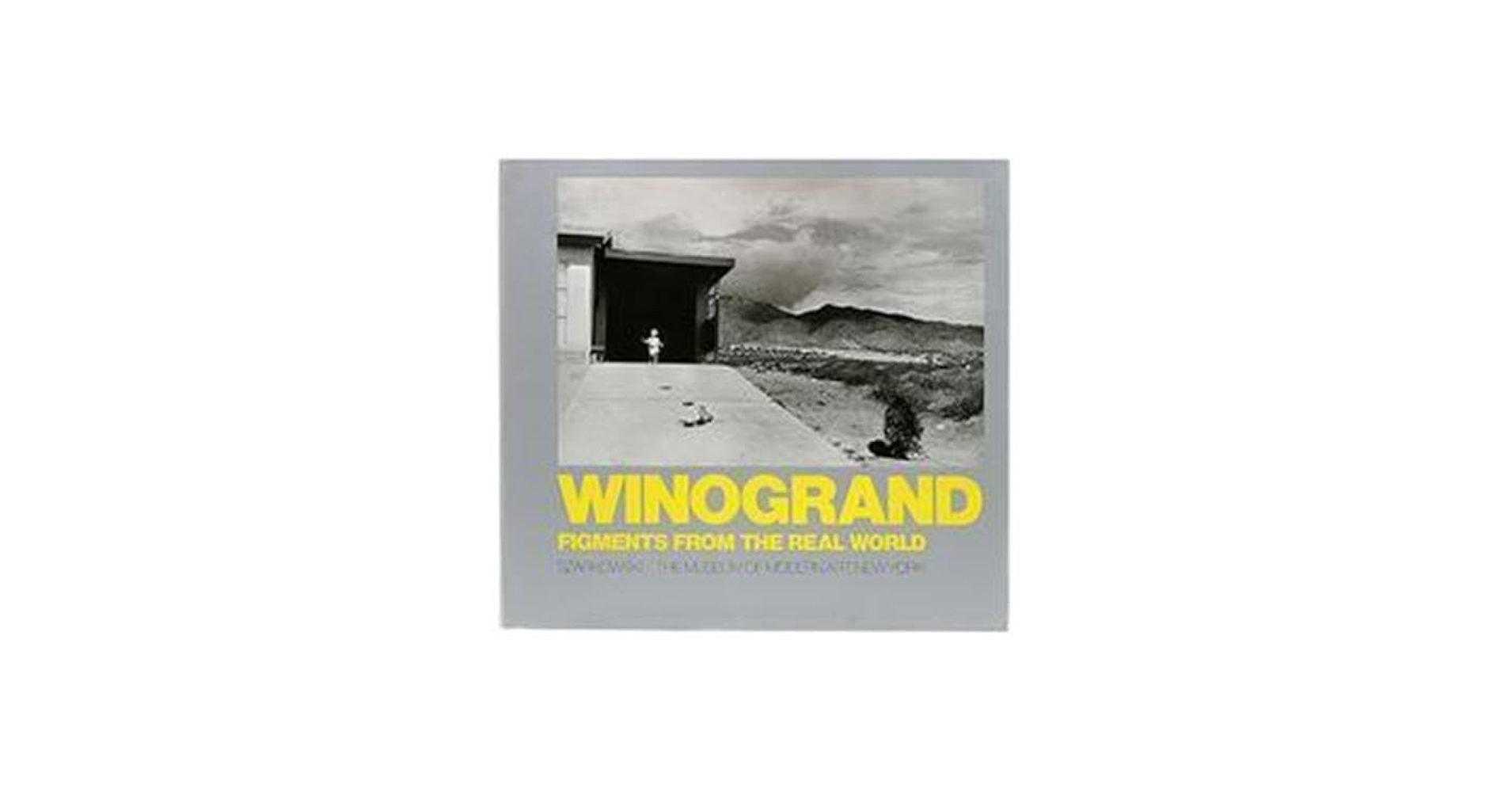 Winogrand: Figments from the real world (Springs Industries series