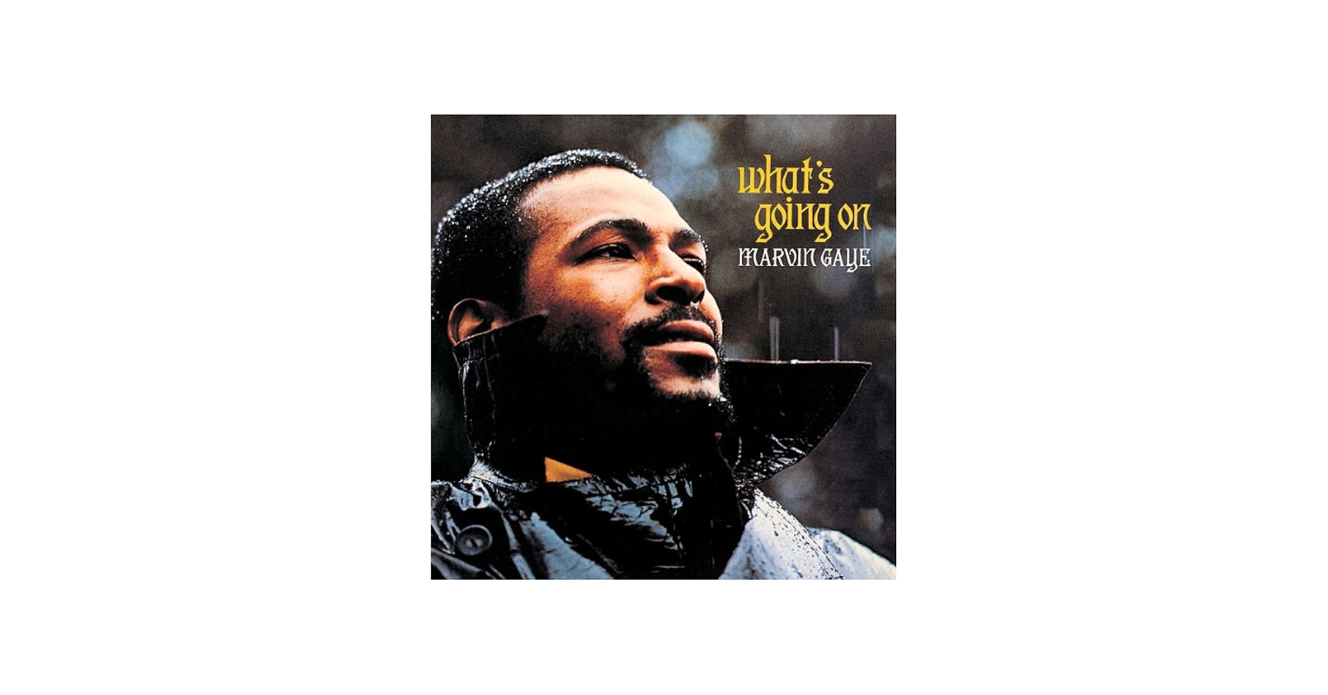 Marvin Gaye - What's Going On: 40th Anniversary [2 CD/LP Super