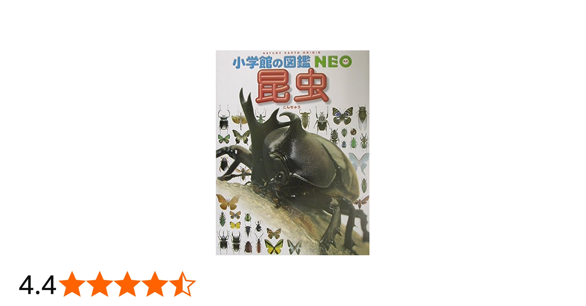 小学館の図鑑NEO 昆虫 | 小池 啓一, 小野 展嗣, 町田龍一郎 |本 | 通販