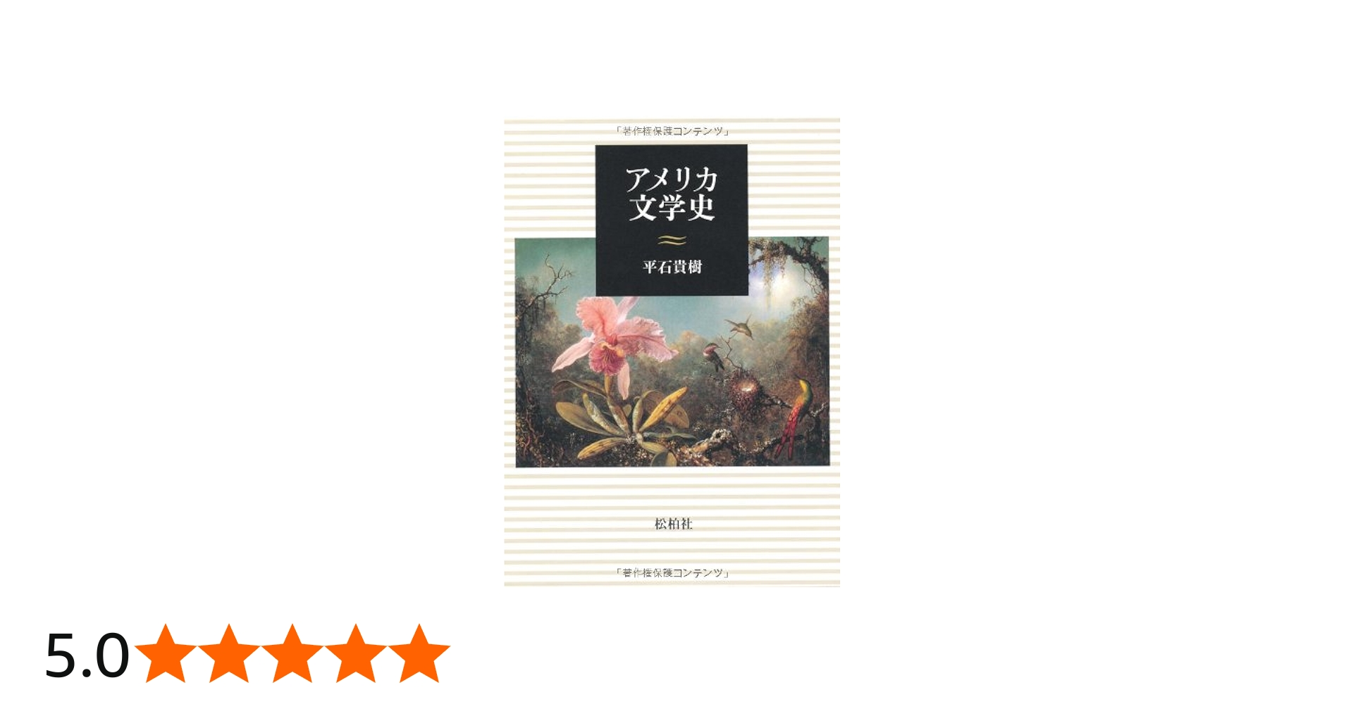 Amazon.co.jp: アメリカ文学史 : 平石 貴樹: 本