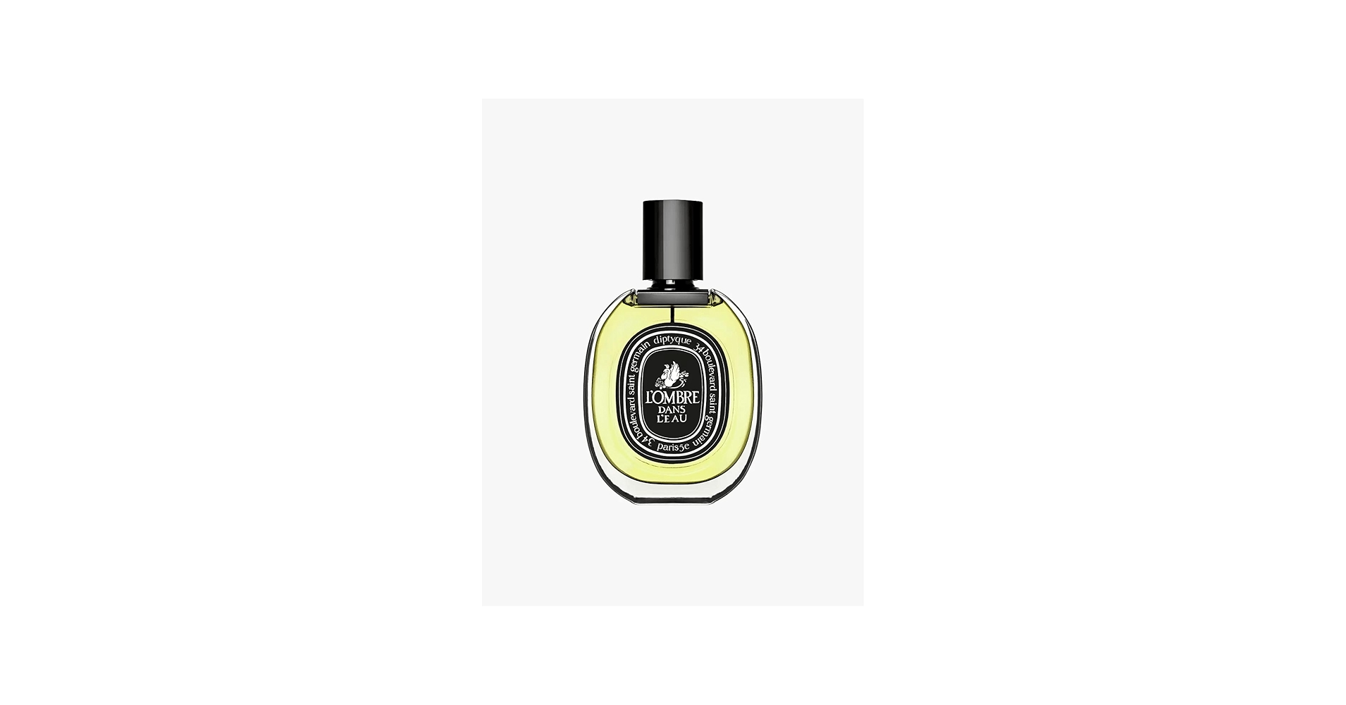Amazon.com : Diptyque L'Ombre Dans L'Eau Eau de Parfum Spray for