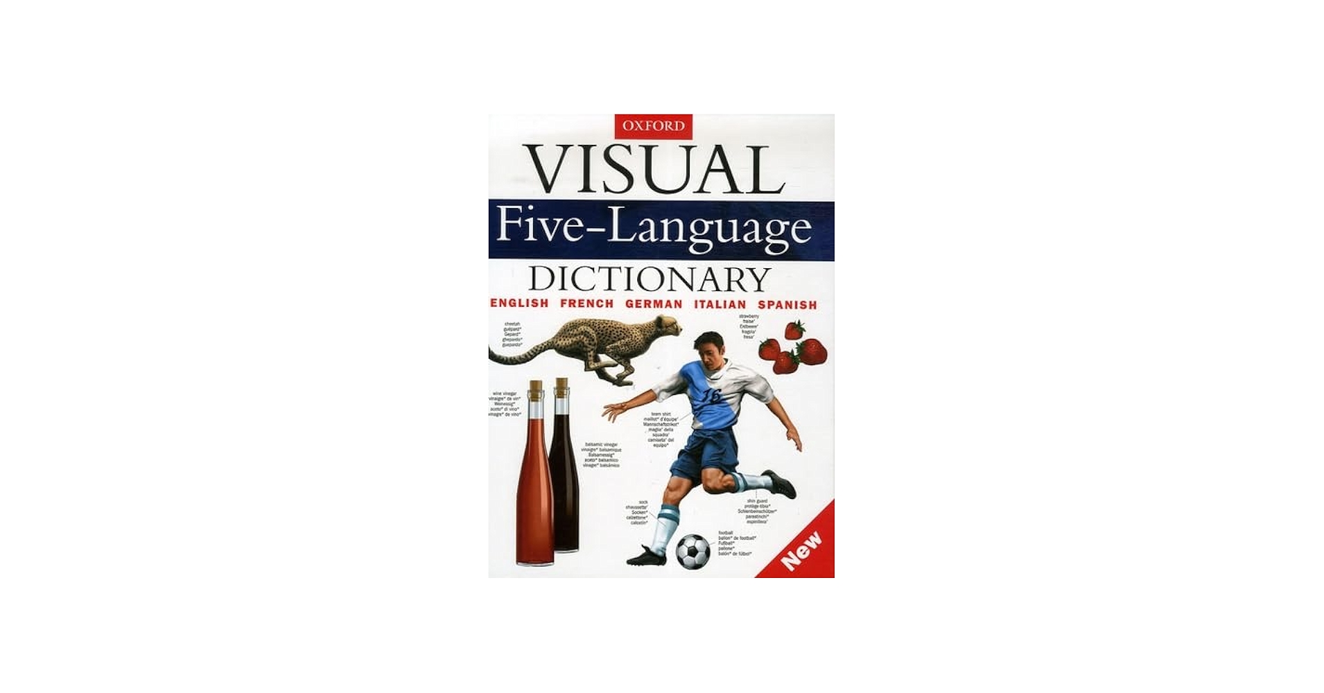 Visual Five-Language Dictionary: English, French, German, Italian