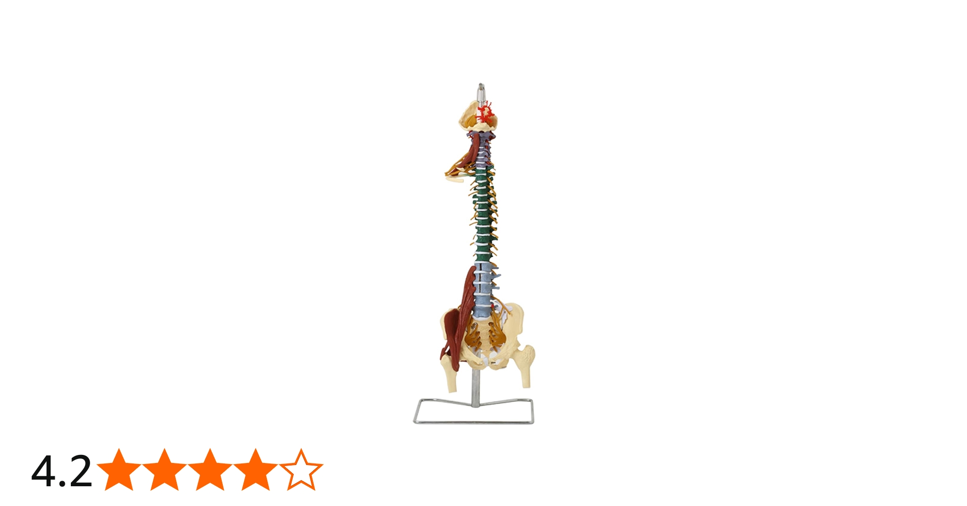 51dprExVWPL.jpg_BO30,255,255,