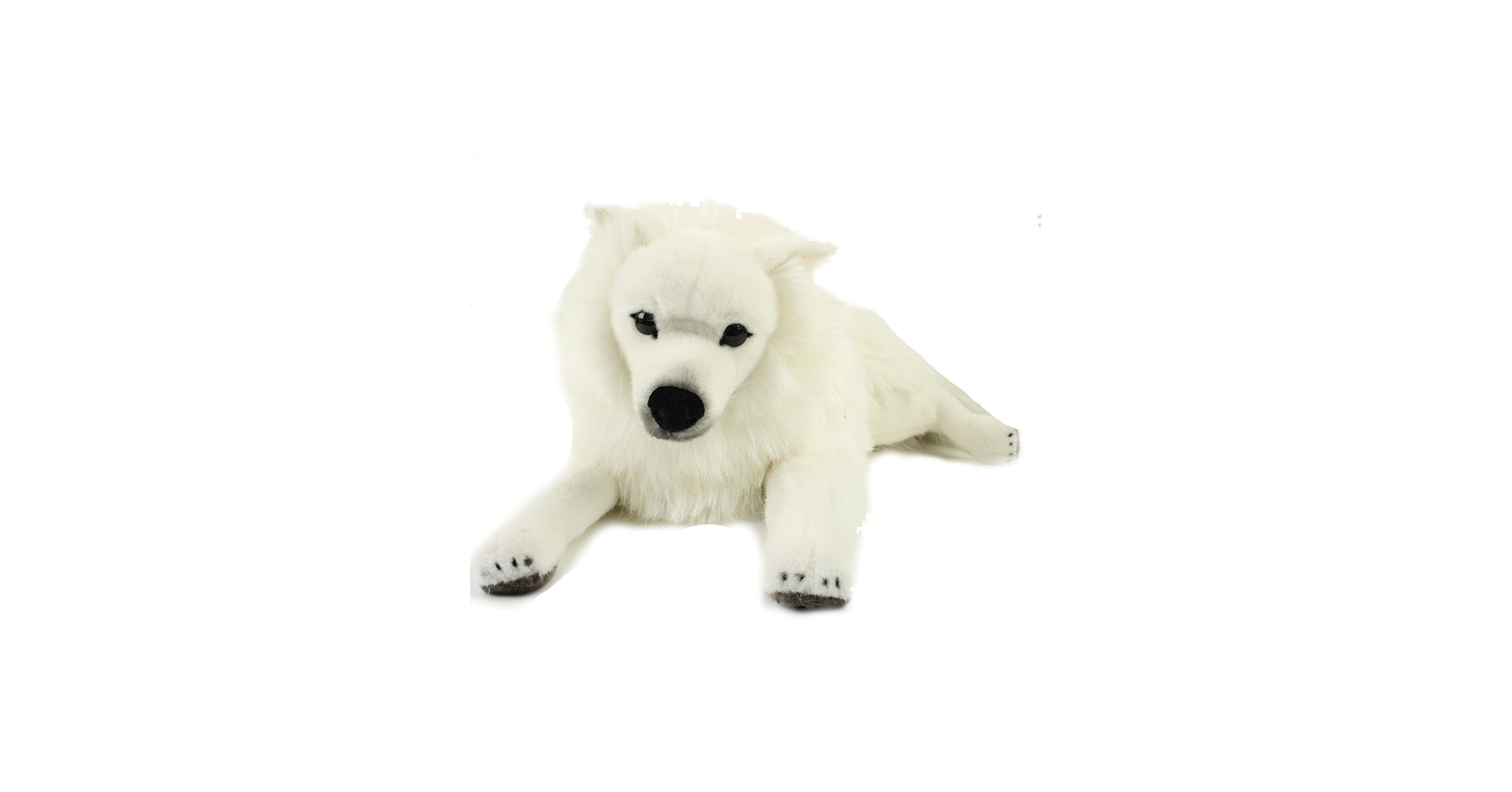 61PgZG9EkGL.jpg_BO30,255,255,