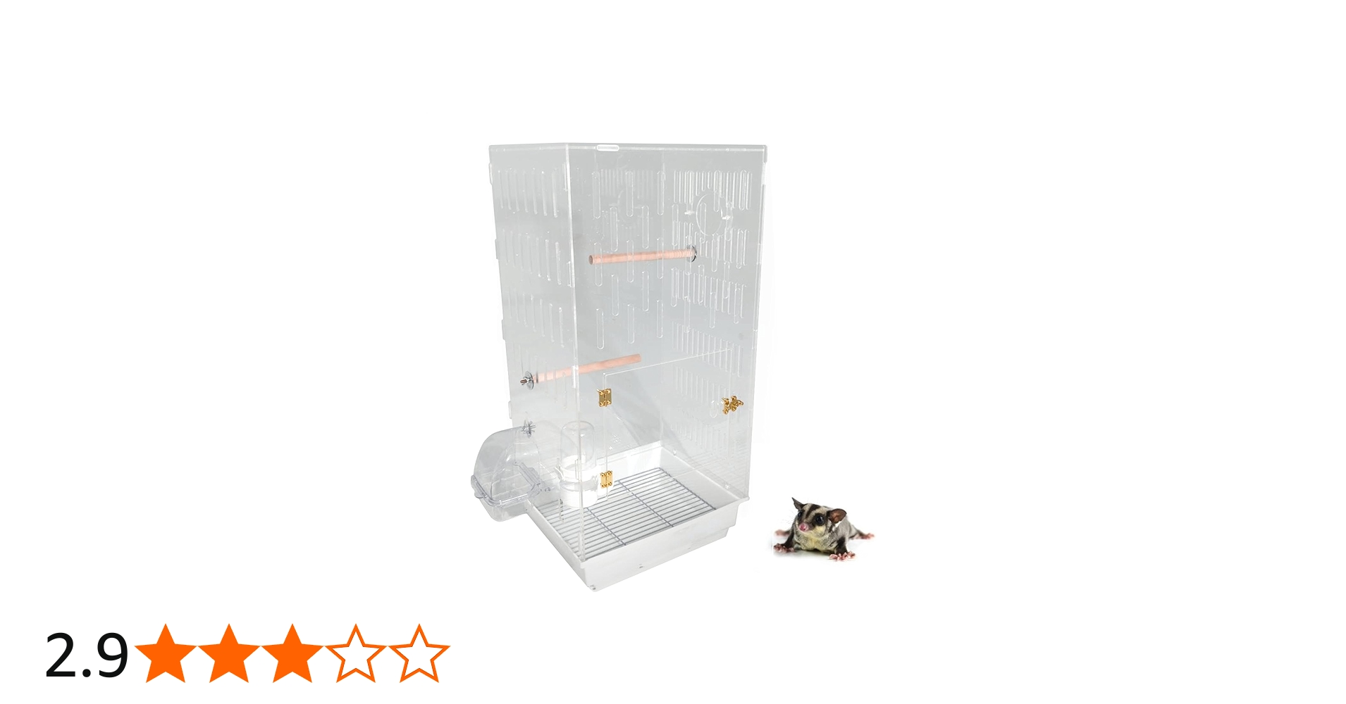 Amazon | MINORITY DESIGN フクロモモンガ 360度見渡せるアクリル