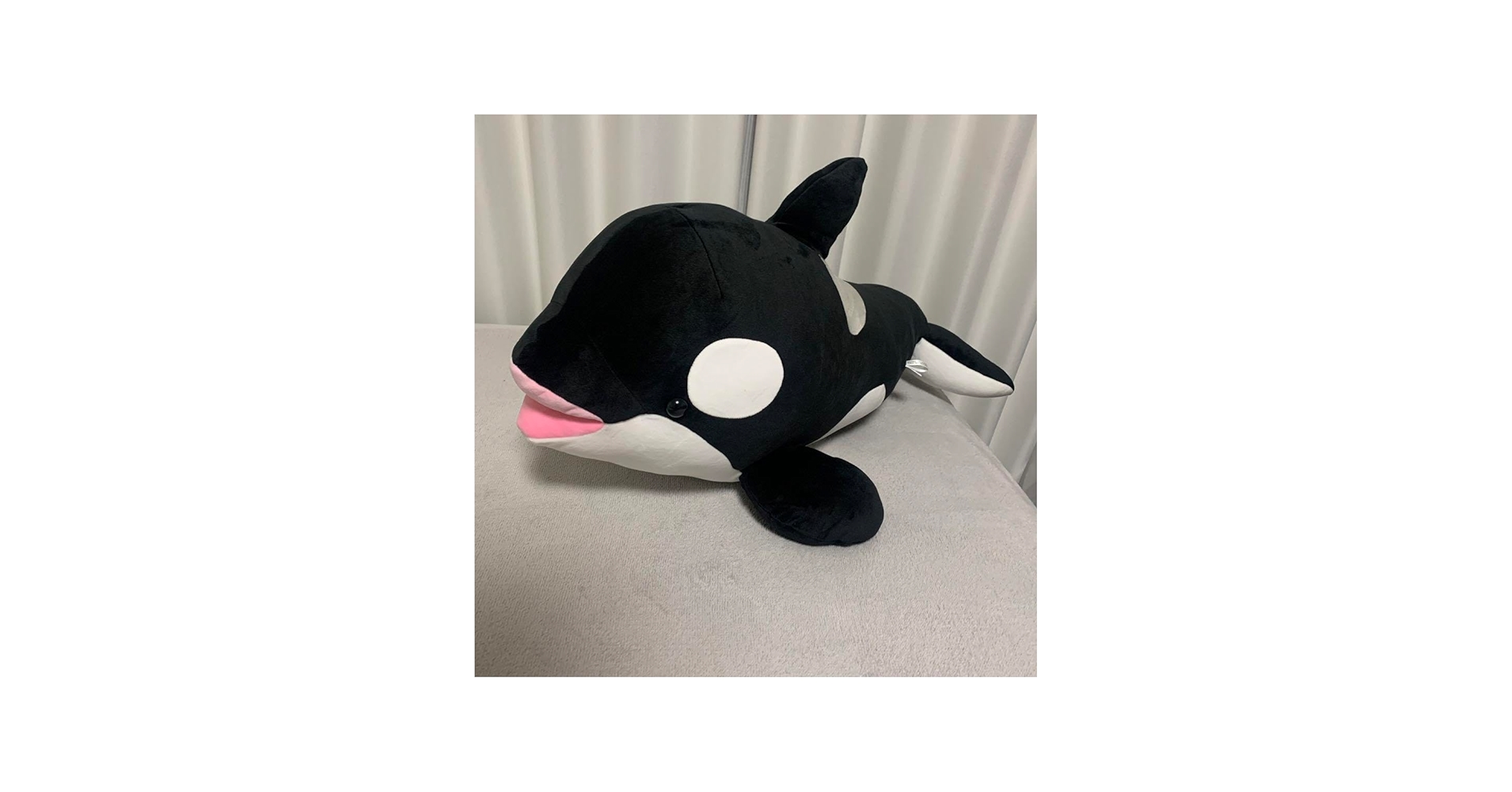 Amazon.co.jp: 神戸須磨シーワールド オルカくじ 1等 Y : おもちゃ