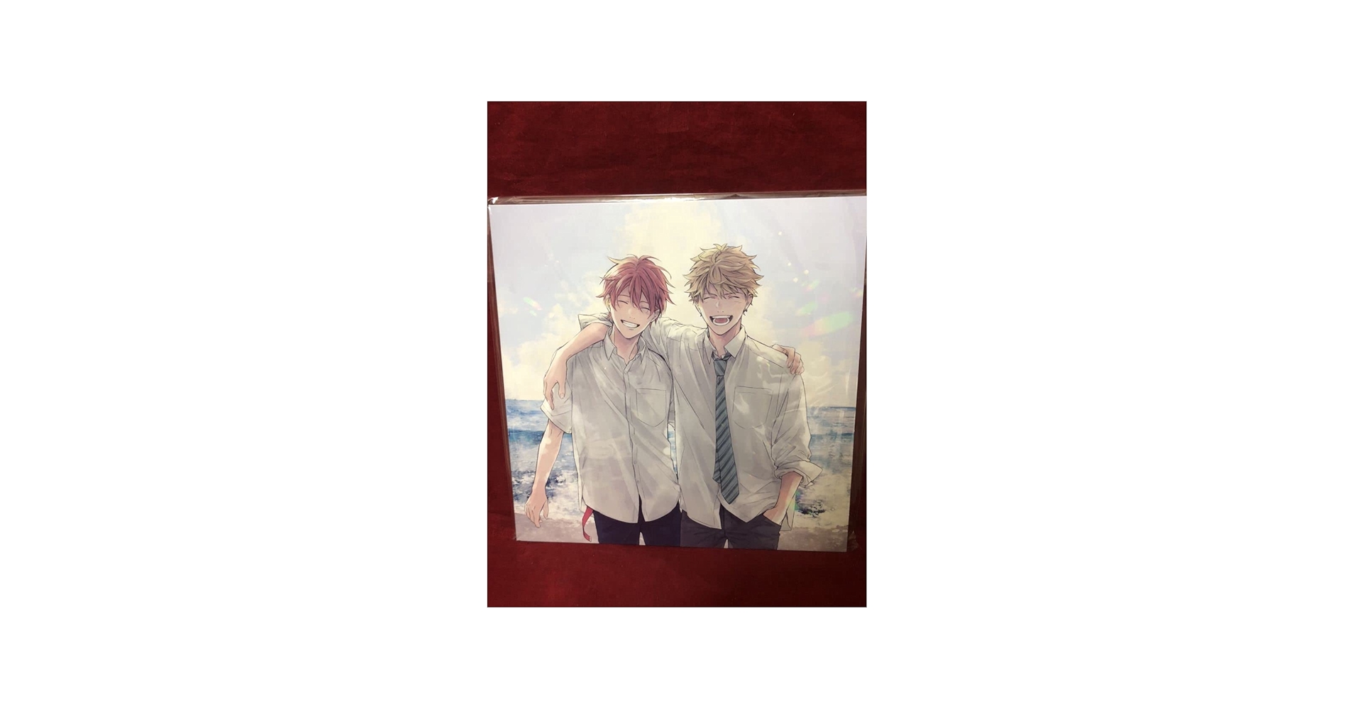 Amazon.co.jp: ギヴン Blu-ray/DVD全巻購入特典 LPサイズディス収納