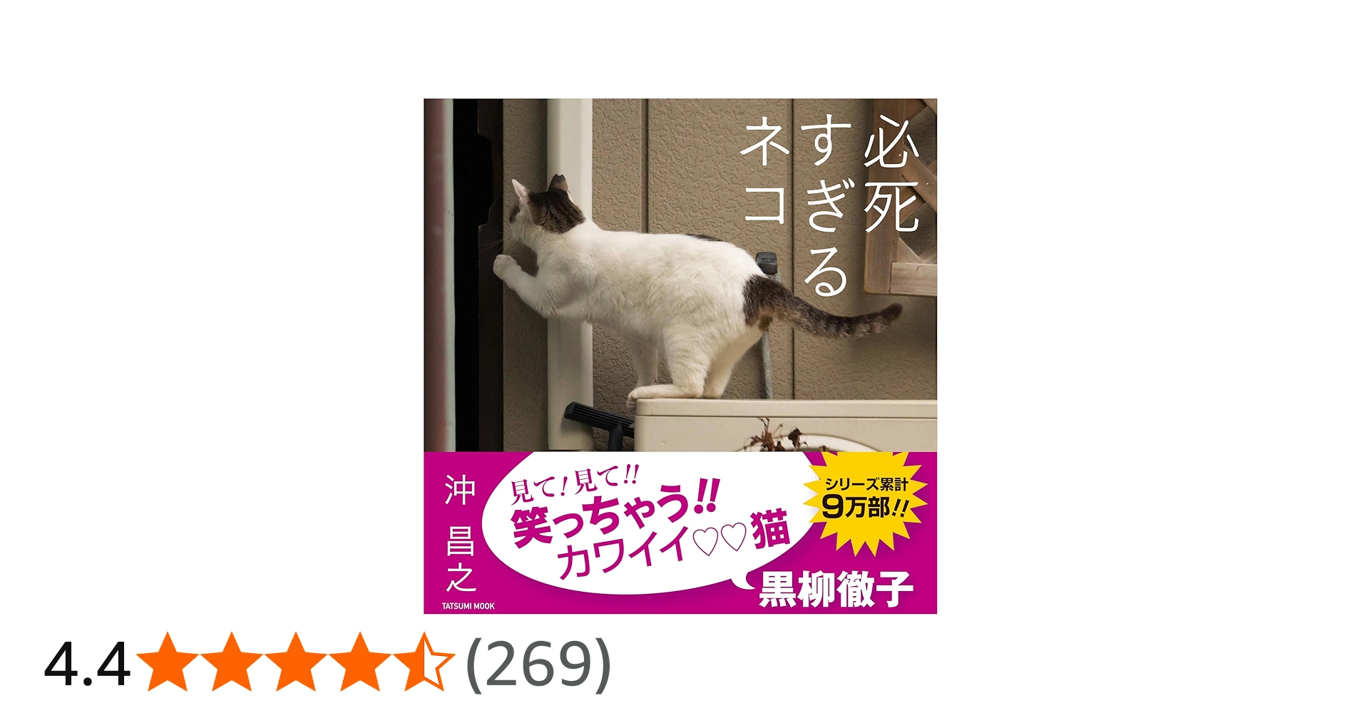 写真集 必死すぎるネコ (タツミムック) | 沖 昌之 |本 | 通販 | Amazon