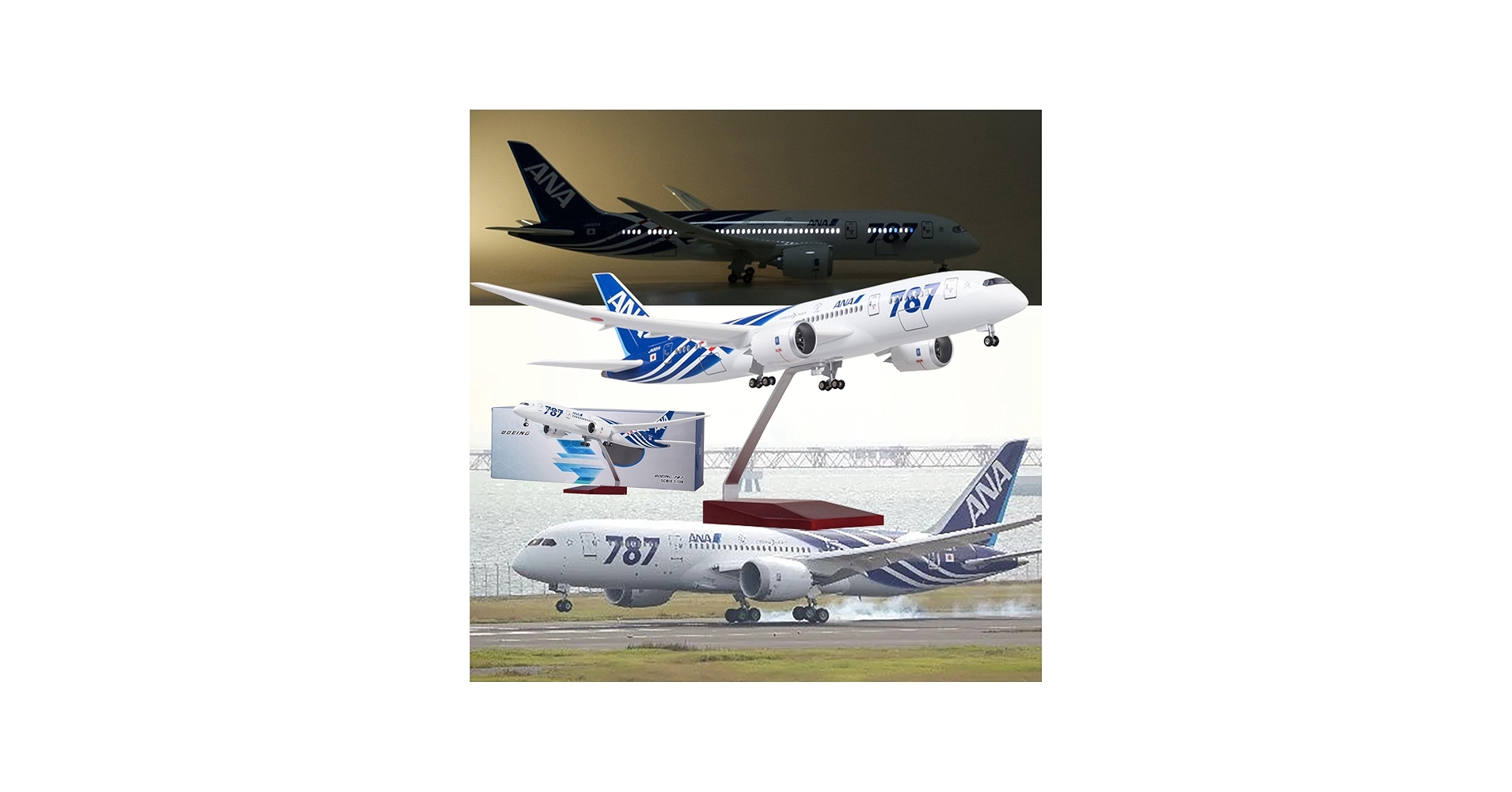 Amazon.co.jp: 16.9 インチ 1:130 スケールモデル飛行機 ANA B787