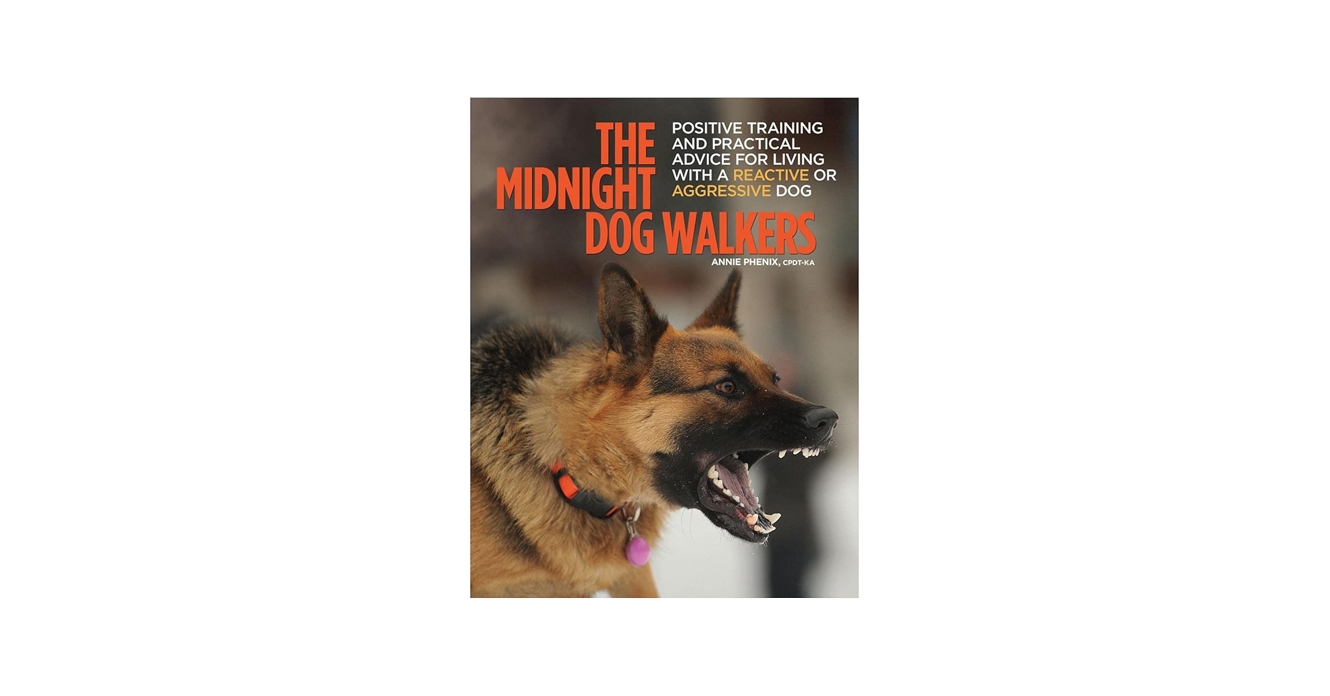 71QaCK2CY5L.jpg_BO30,255,255,