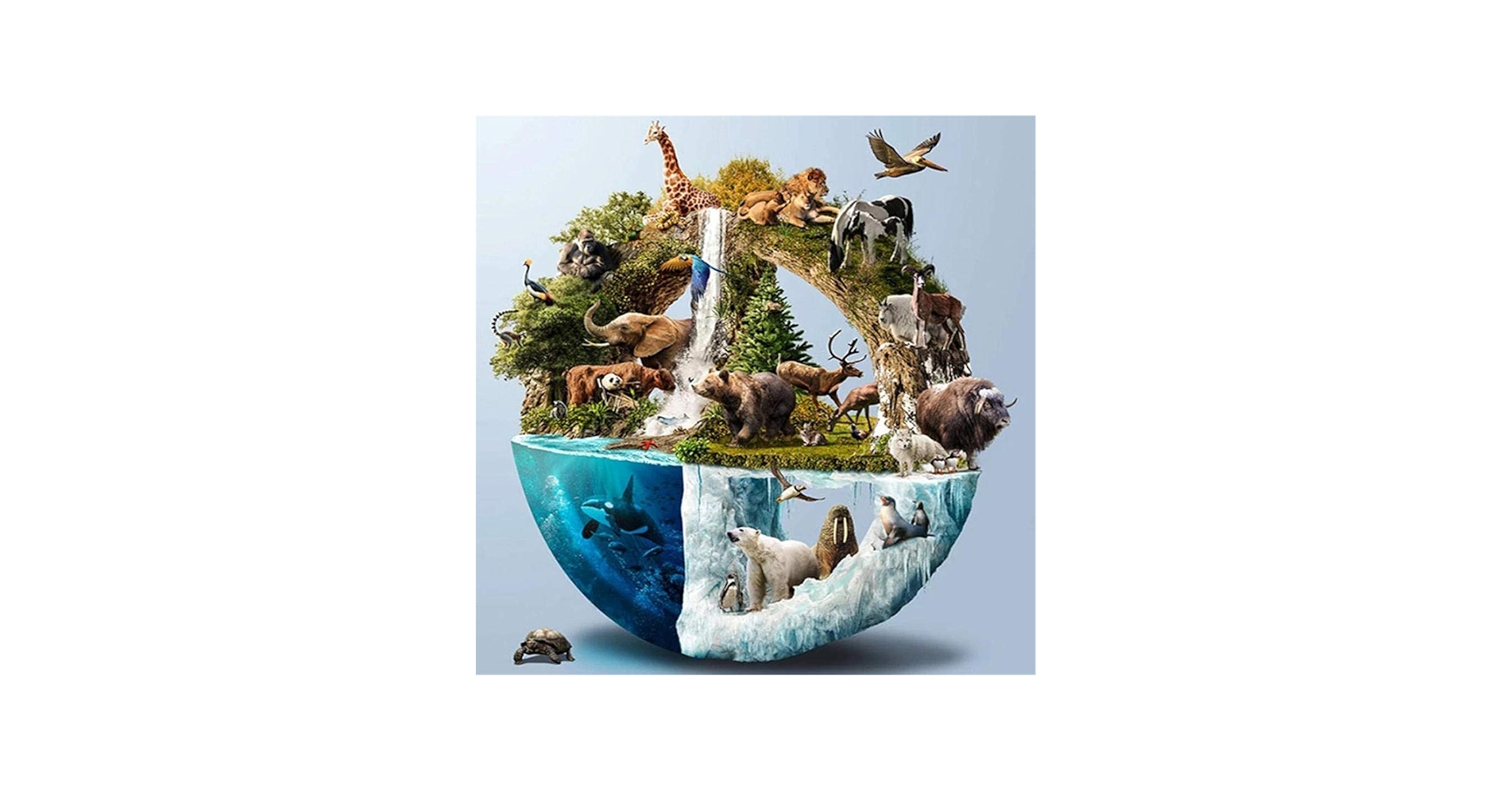 Amazon | ジグソーパズル5000ピース地球上の動物大人のパズル