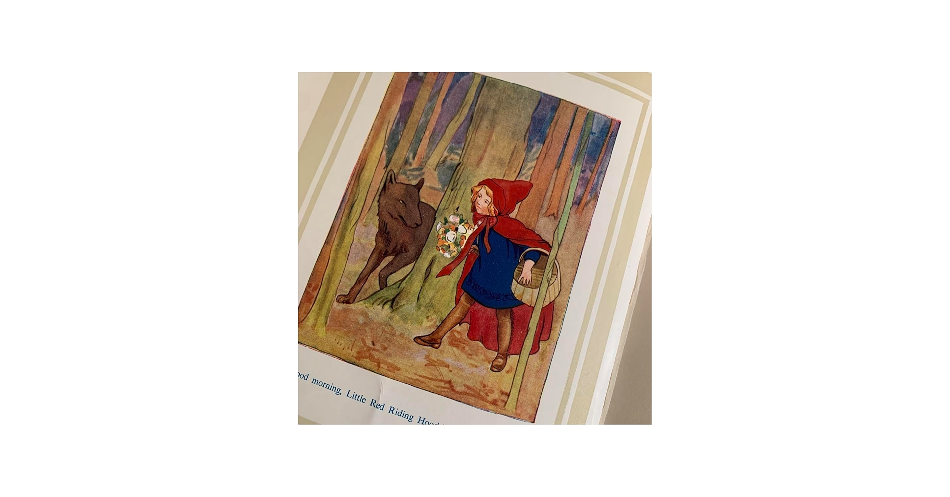 Amazon.co.jp: 美しい挿絵のアンティーク絵本 童話イギリス洋書 古書