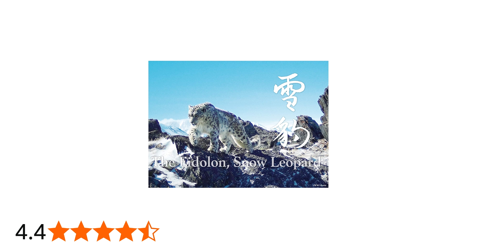 株式会社ラーテルハート 神の獣 雪豹 ―The Eidolon, Snow Leopard