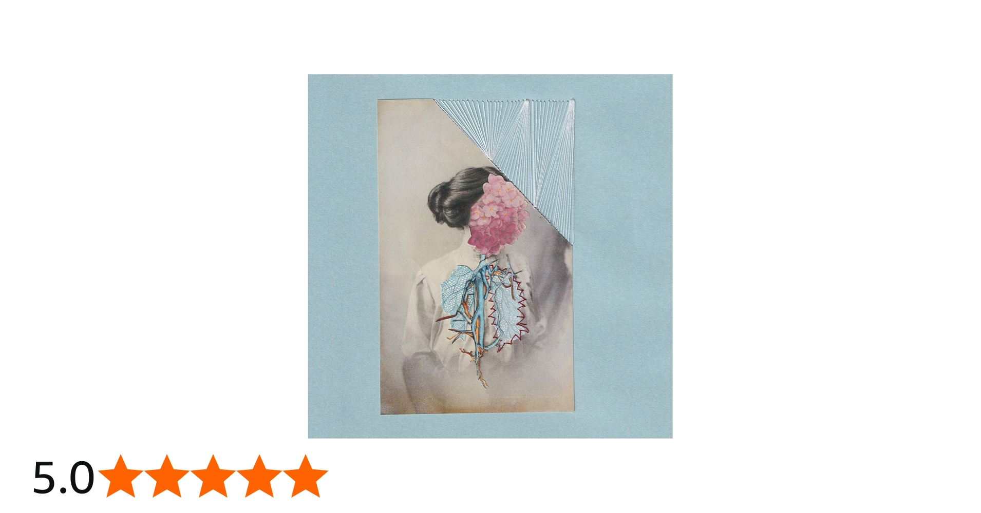 Amazon.co.jp: 縫層: ミュージック