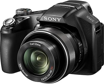 Amazon.com : Sony Cyber-Shot DSC-HX100V 16.2 MP Exmor R CMOS