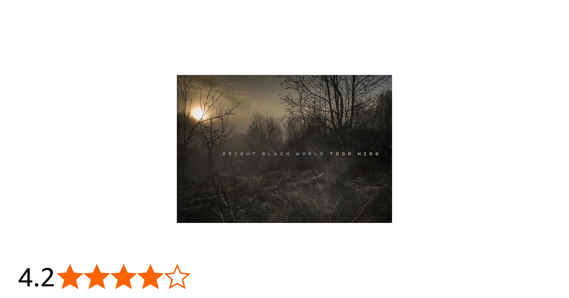 初版・サイン本） Todd Hido / Bright Black World Amazon.co.jp