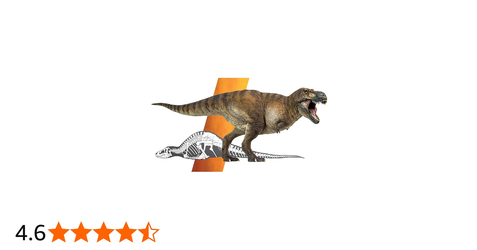 Amazon.co.jp: PNSO 恐竜博物館 1/35 サイズ ティラノサウルス リアル