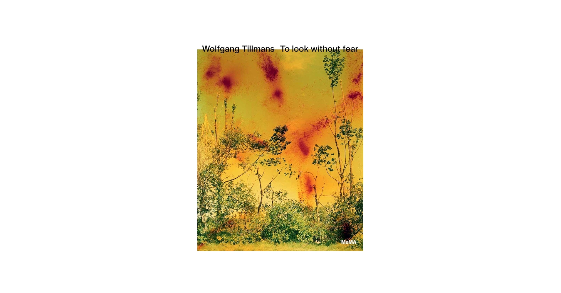 Amazon.com: Wolfgang Tillmans: To look without fear: 9781633451117