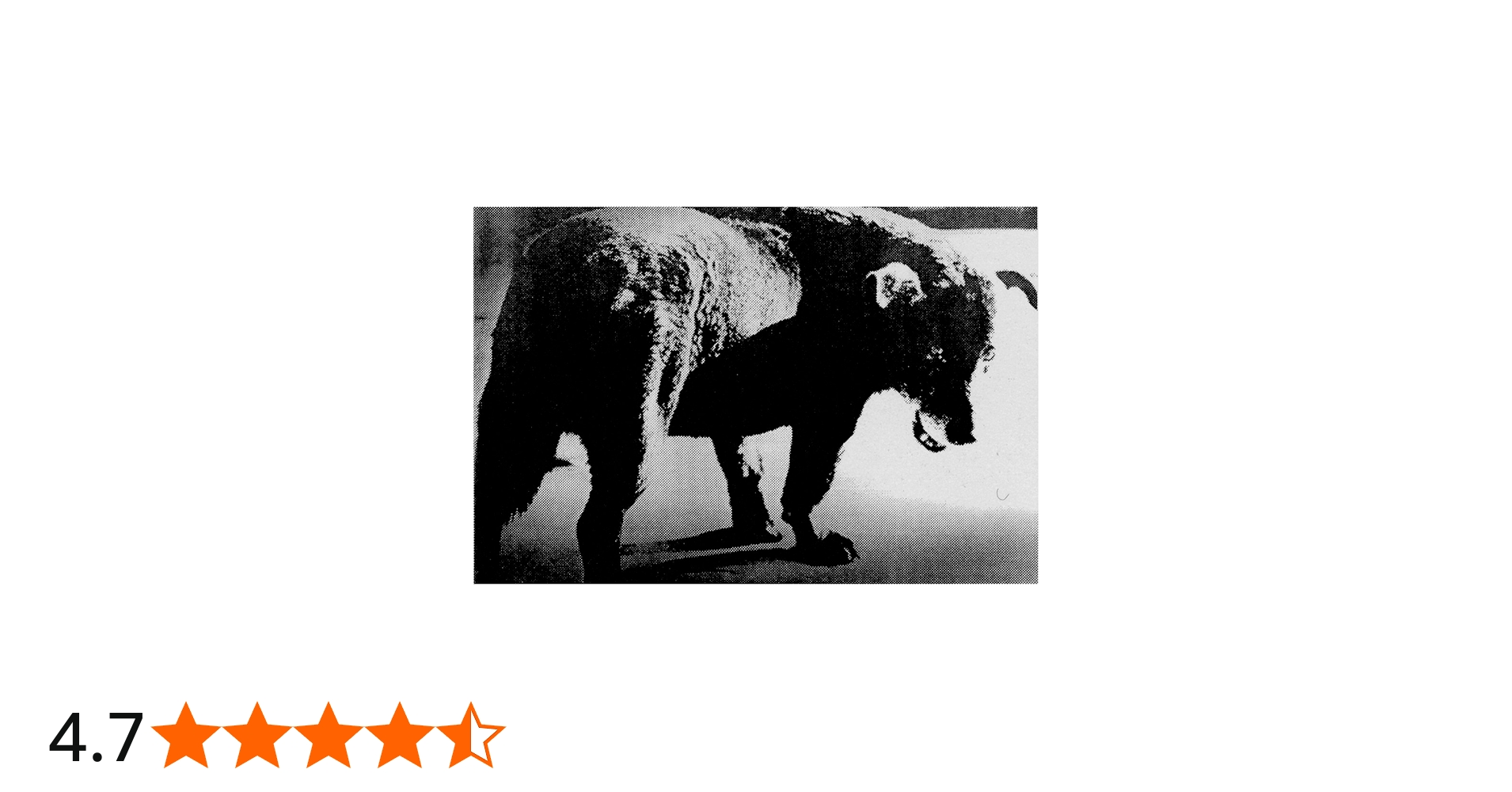 Amazon.co.jp: ≒(ニアイコール)森山大道 [DVD](NEAR EQUAL MORIYAMA