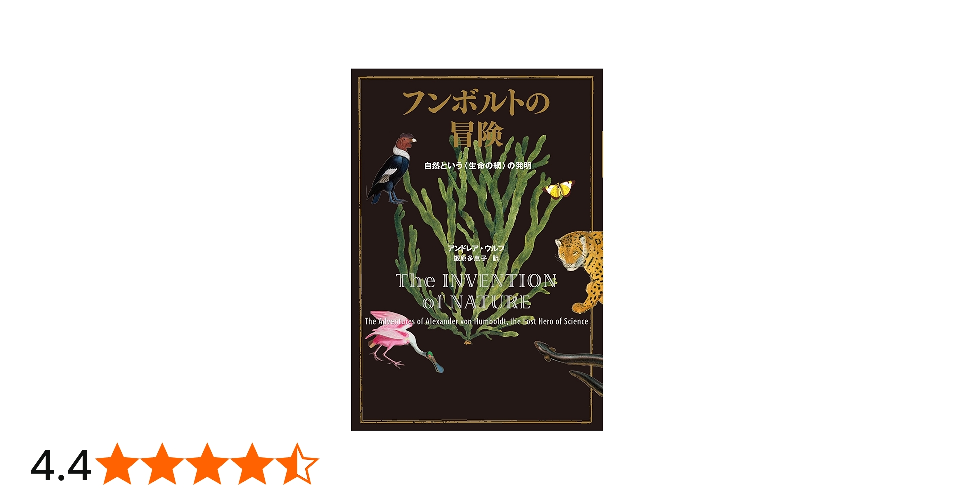 Amazon.co.jp: フンボルトの冒険 自然という〈生命の網〉の発明