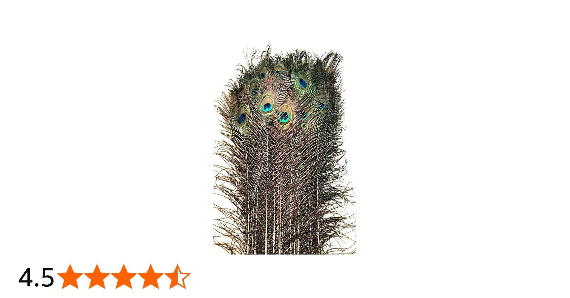 Amazon.co.jp: American Feathers Eyed 孔雀の尾羽 45-50インチ 25個