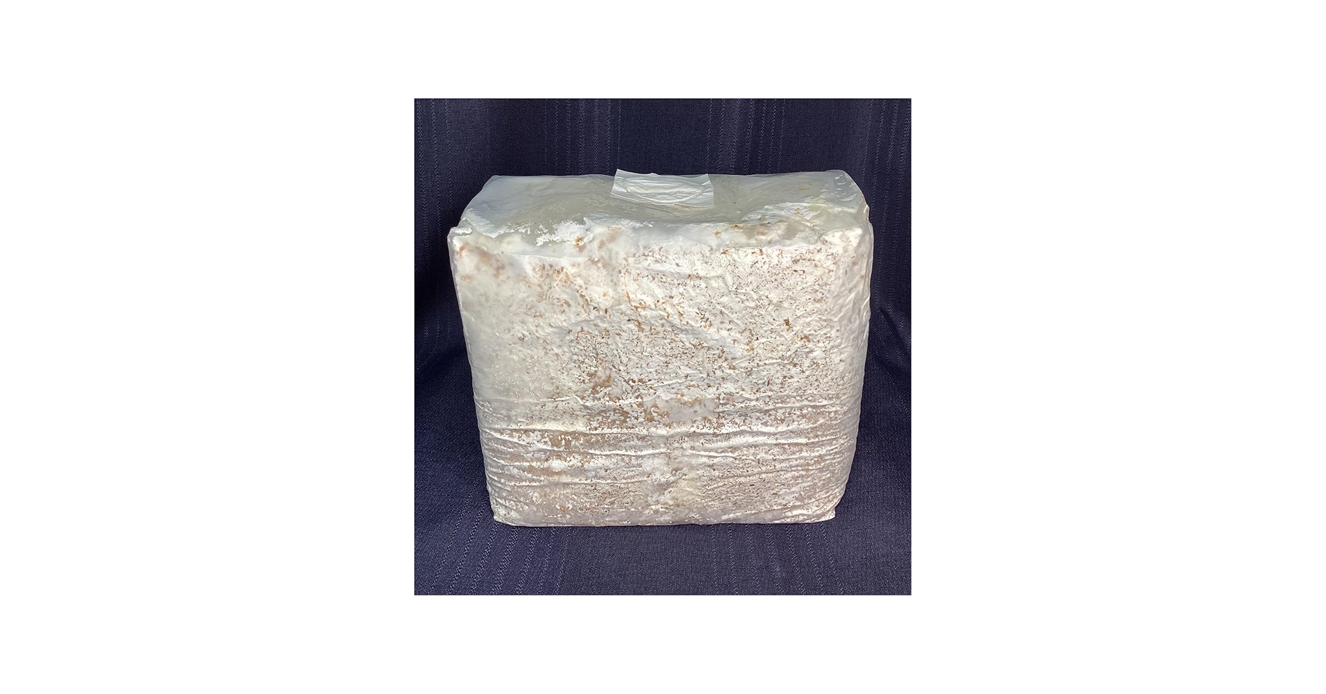 Amazon.co.jp: 【6個セット】【EXCEED CRAFT】LEVIN-G3500 3500cc