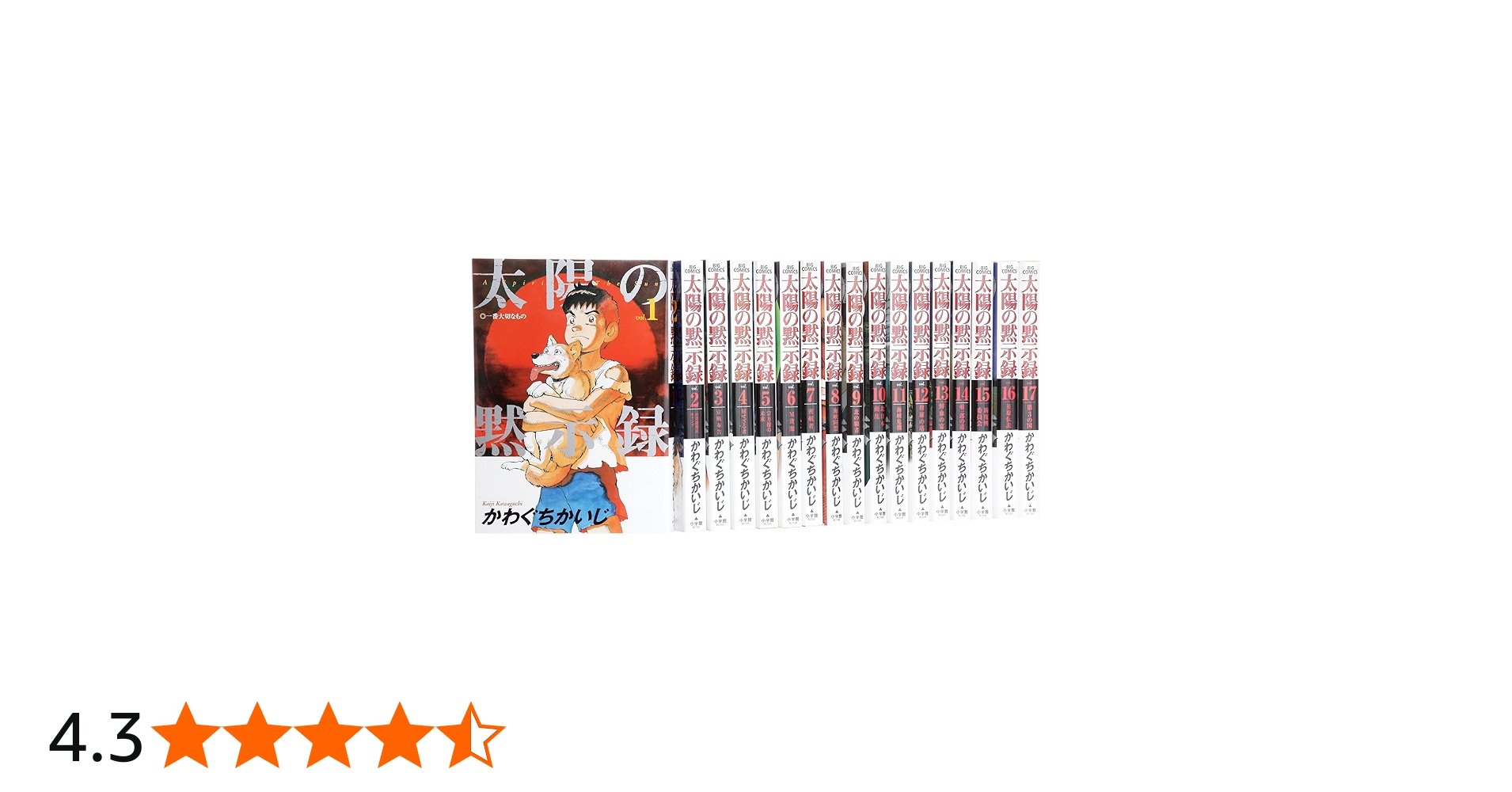 Amazon.co.jp: 太陽の黙示録 コミック 全17巻完結セット (ビッグ