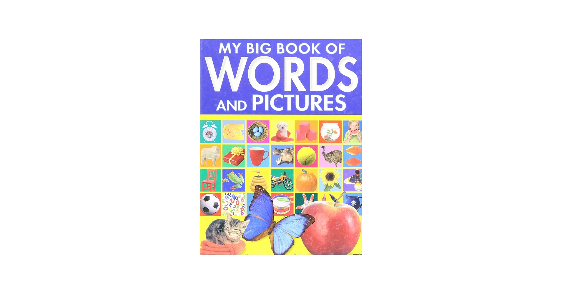 My Big Book of Words and Pictures: Julie Haydon: 9781741570298