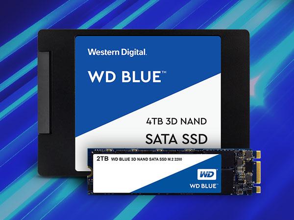 Amazon.com: Western Digital 2TB WD Blue 3D NAND Internal PC SSD