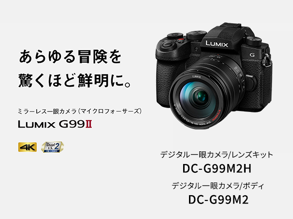 Amazon | パナソニック (Panasonic) ミラーレス一眼カメラ LIMIX 高