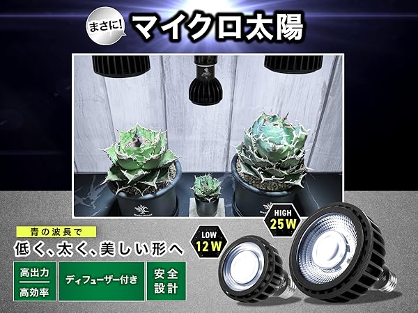 Amazon.co.jp: Kaiju Plant 怪獣ビームLOW ぐんぐん育つ 室内園芸用