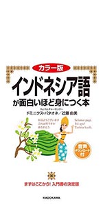 カラー版 CD付 フランス語が面白いほど身につく本 (語学・入門の入門