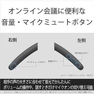 Amazon.co.jp: ソニー(SONY) ワイヤレスネックバンドスピーカー SRS